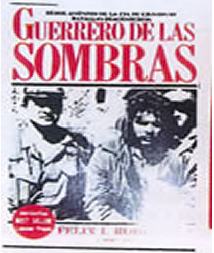 libro guerreros en la sombra